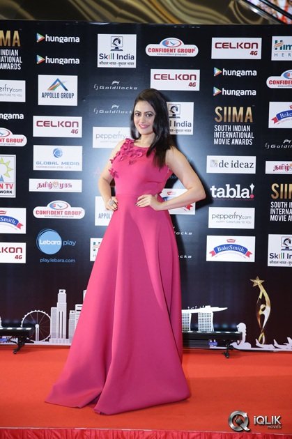 South-Indian-International-Movie-Awards-2016-Day-2